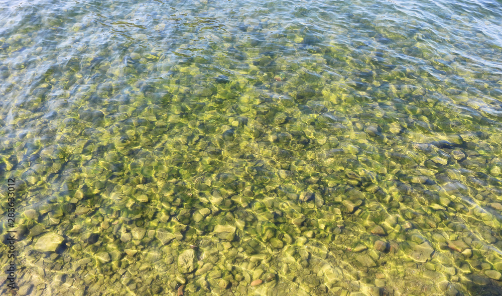 clear water in the river