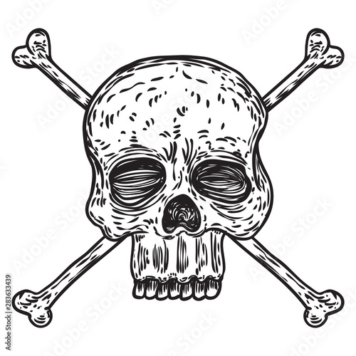 Skull and crossbones, rock, satan or pirate symbol. Handmade detailed drawing. Vector illustration.