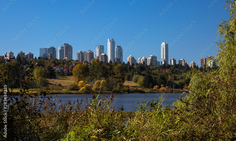 Deer Lake Park and Metrotown of Burnaby City,  forest lake covered with water lilies, the forest and the city on the horizon