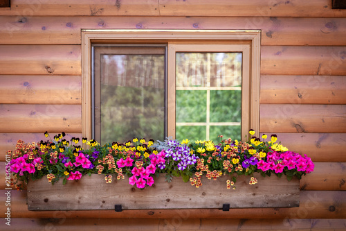 close up of window with window box full of flowers photo