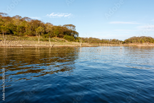 Fototapeta Naklejka Na Ścianę i Meble -  Wooded shoreline of the massive reservoir named Lake El Salto in Sinaloa, Mexico.  Body of water is a popular freshwater bass fishing destination