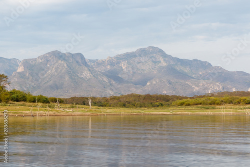 Mesquite trees sticking up out of the surface of the calm water of Lake El Salto, a famous freshwater bass fishing spot in Sinaloa, Mexico, with the Sierra Madre Mountains in the background