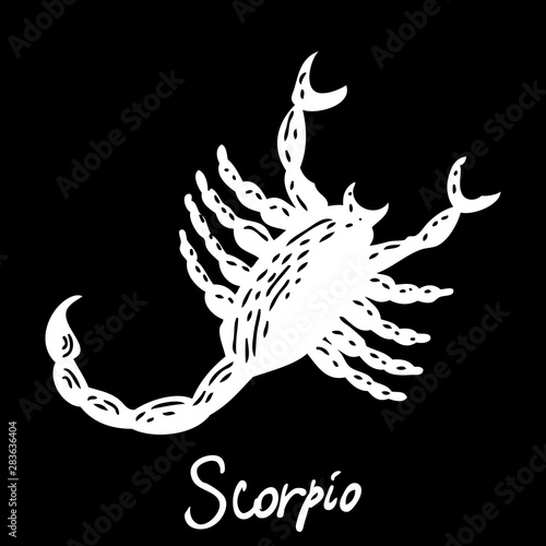 Fototapeta Naklejka Na Ścianę i Meble -  Scorpio zodiac horoscope hand drawing sign for mystic  occult  palmistry and witchcraft alchemy. Vector.