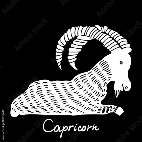 Capricorn zodiac horoscope hand drawing sign for mystic  occult  palmistry and witchcraft alchemy. Vector.