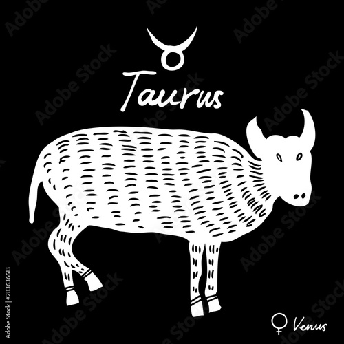 Hand drawn zodiac constellations symbol and sign Taurus, Venu illustration picture planet and symbol written name. Usable for mystic occult palmistry and witchcraft alchemy. Vector