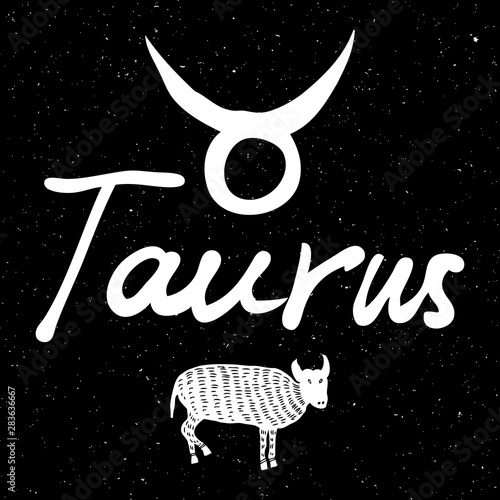 Taurus  zodiac horoscope hand drawing sign for mystic  occult  palmistry and witchcraft alchemy. Vector.