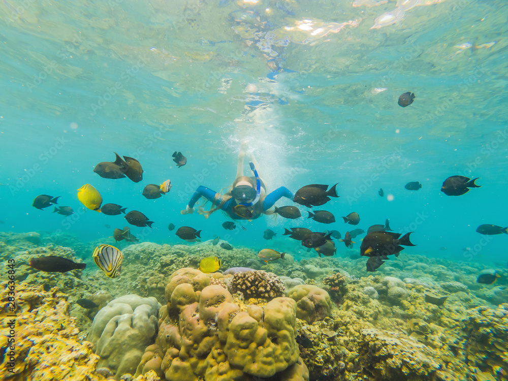 Fototapeta premium Happy woman in snorkeling mask dive underwater with tropical fishes in coral reef sea pool. Travel lifestyle, water sport outdoor adventure, swimming lessons on summer beach holiday