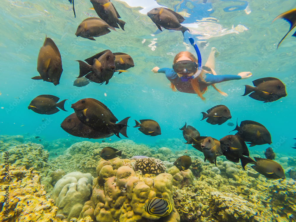 Happy woman in snorkeling mask dive underwater with tropical fishes in coral reef sea pool. Travel lifestyle, water sport outdoor adventure, swimming lessons on summer beach holiday Happy woman in snorkeling mask dive underwater with tropical fishes in coral reef sea pool. Travel lifestyle, water sport outdoor adventure, swimming lessons on summer beach holiday