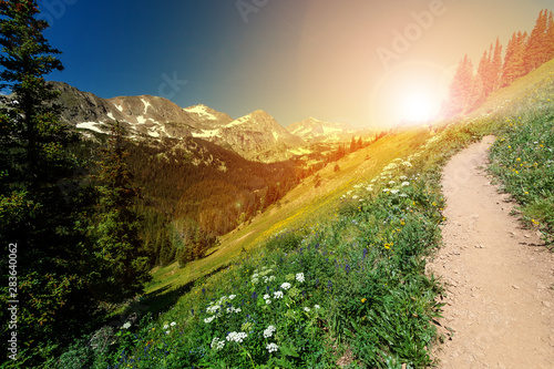Obraz na plátně Sunlight shines on a dirt hiking trail in a Colorado Rocky Mountain landscape
