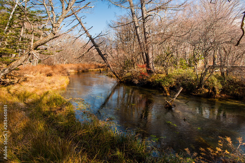 Windy River reflecting light and shadow. Autumn at Senjogahara plateau in Nikko national park, Nikko Tochigi, Japan ( Ecological engineering methods )