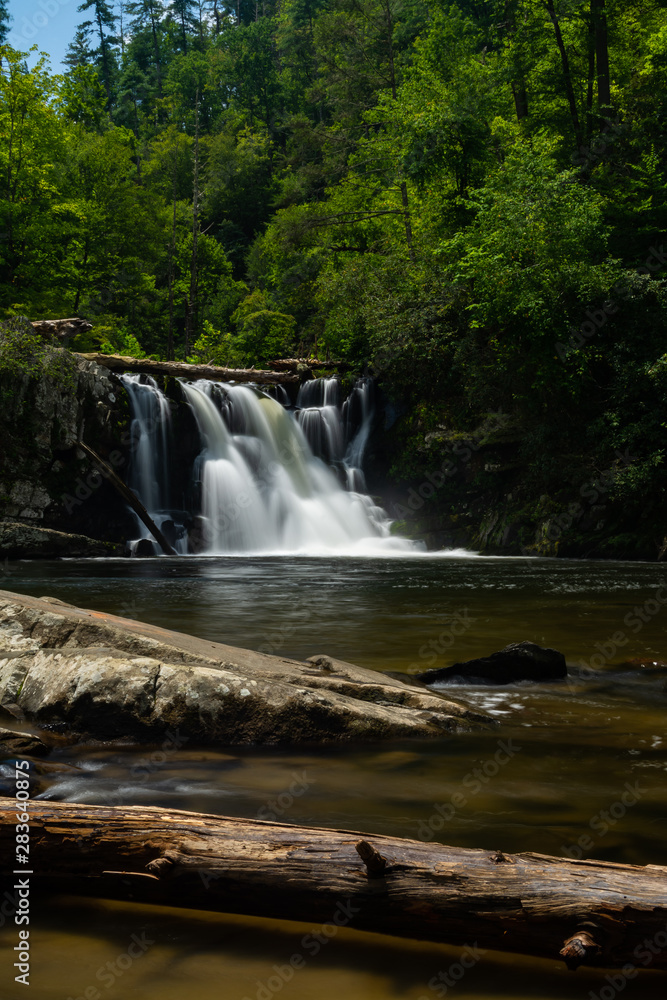 Obraz premium Abrams Falls