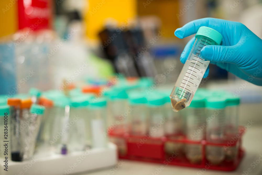laboratory equipment pipette dropping sample into a test tube,abstract science background. laboratory equipment pipette dropping sample into a test tube,abstract science background.