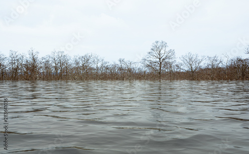 фотографія Flood crisis due to global warming