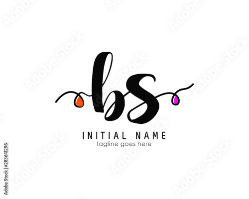B S BS Initial brush color logo template vetor