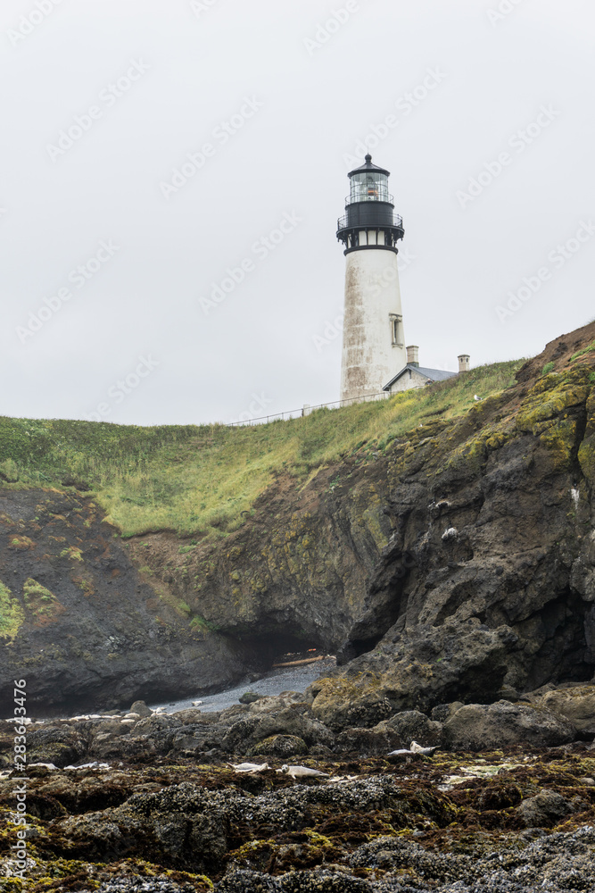 Lighthouse on a black and green cliff