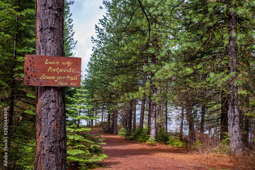 Sign in the Forest 