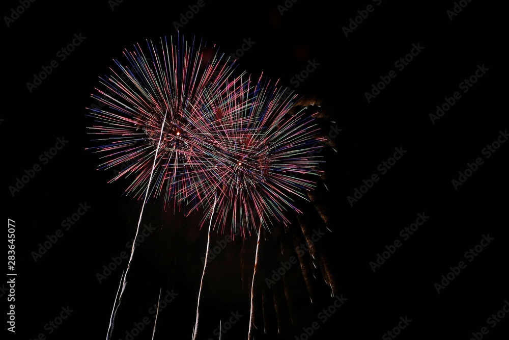 《大曲の花火》秋田県大仙市
