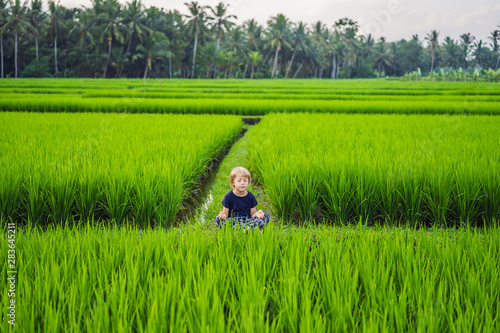 Little boy practices yoga in a rice field, outdoor. Gymnastic exercises