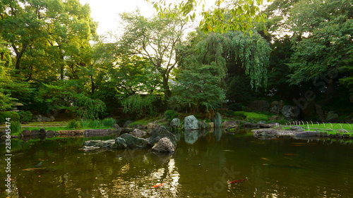 Pond in city park. Relax in the center of Tokyo