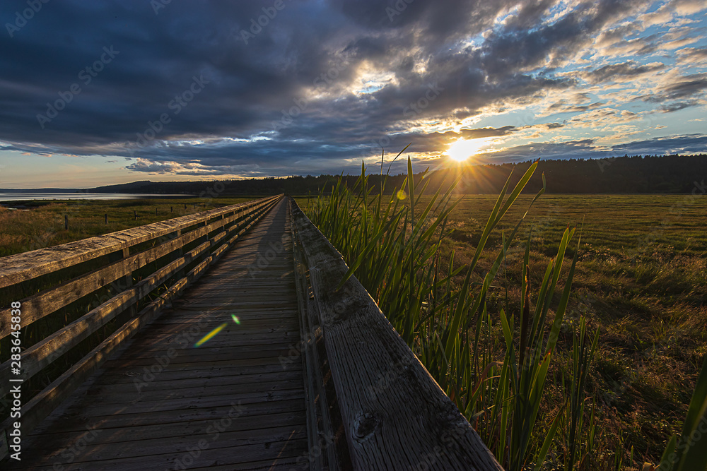 long wooden boardwalk streching far through a lush green wetlands below a bright cloudy sunset