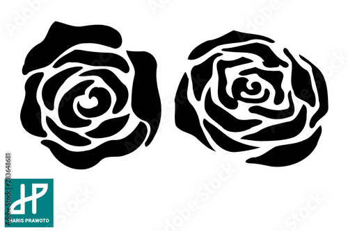 rose vector illustration