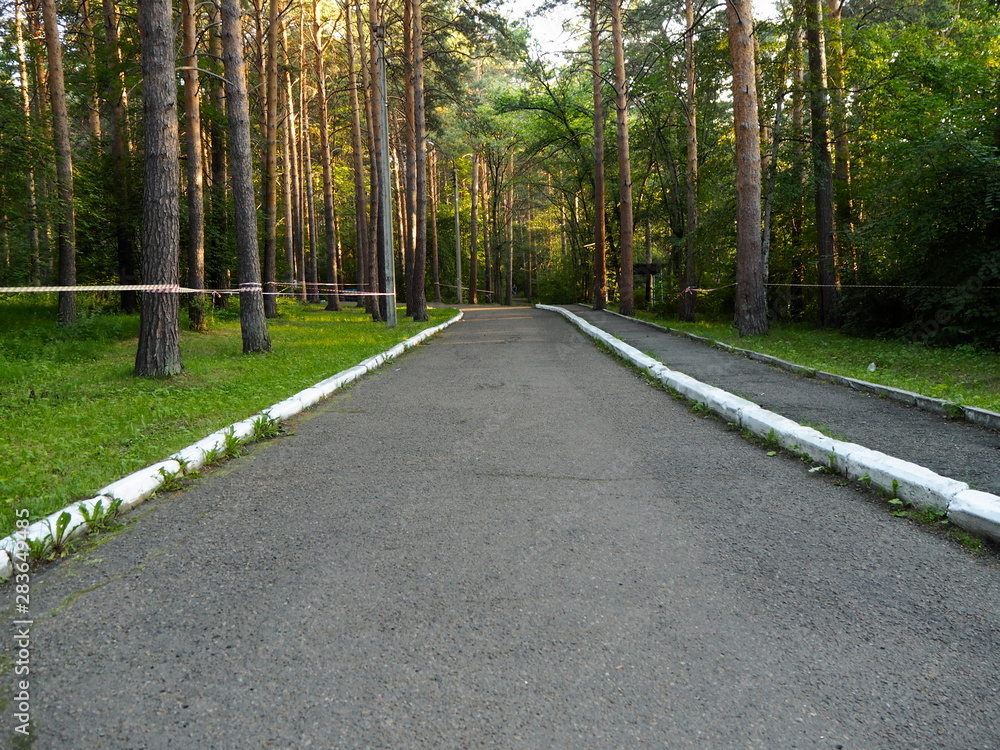 Fototapeta premium walkways in the park trees summer sun