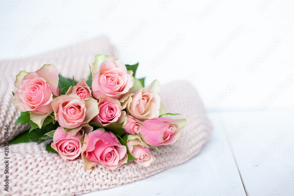 Pink roses laying on a thick knit woolen cosy blanket laying on a white wooden background Pink roses laying on a thick knit woolen cosy blanket laying on a white wooden background