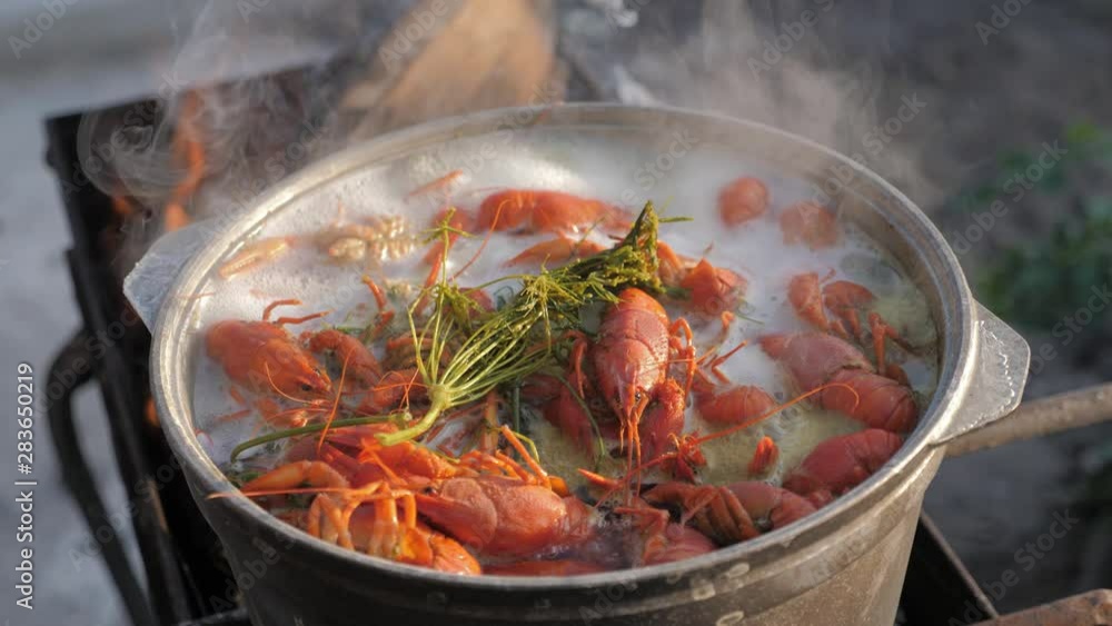 Crayfish cook in water with spices and herbs. Hot Boiled Crawfish. Lobster closeup. Top view. Crayfish cook in water with spices and herbs. Hot Boiled Crawfish. Lobster closeup. Top view.