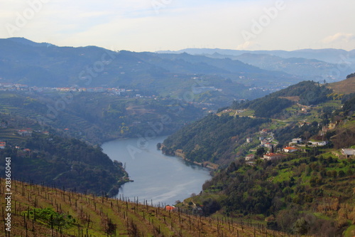 Douro Valley and River in Portugal © Mariangela