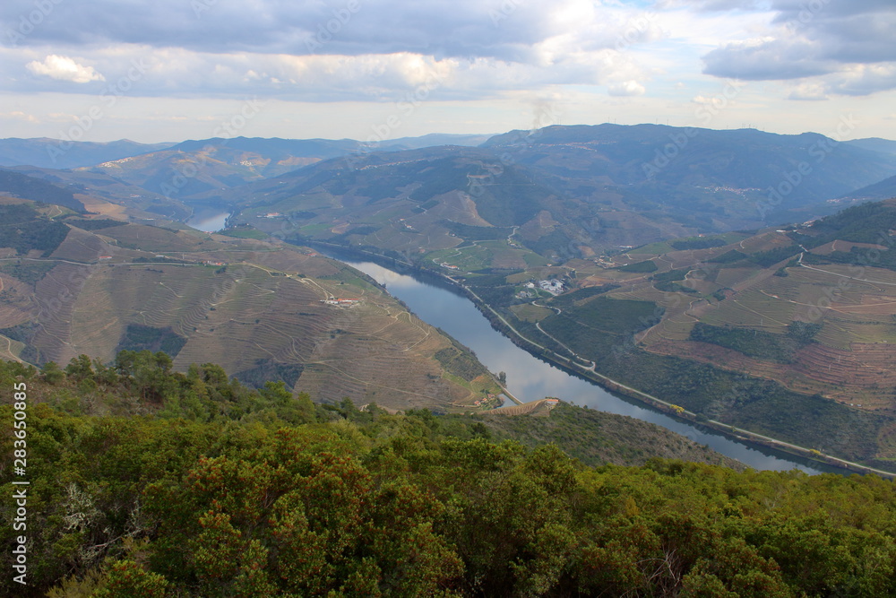 Fototapeta premium Douro Valley and River in Portugal