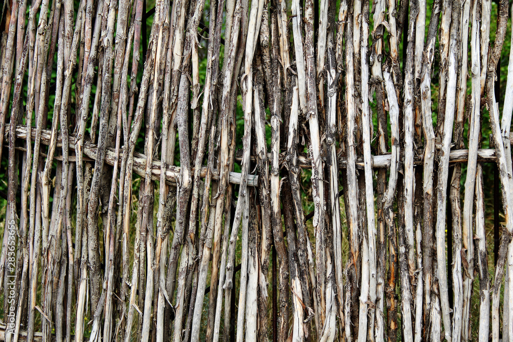 The texture of the wicker grey hedge The texture of the wicker grey hedge