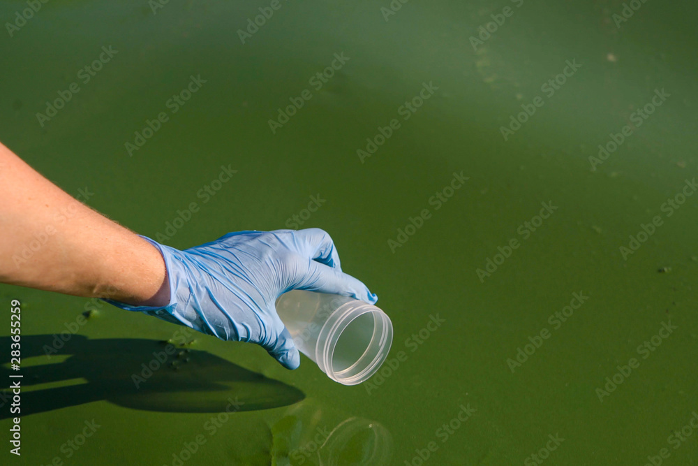closeup of hand in glove is about ot take sample of green algae in water - obrazy, fototapety, plakaty 