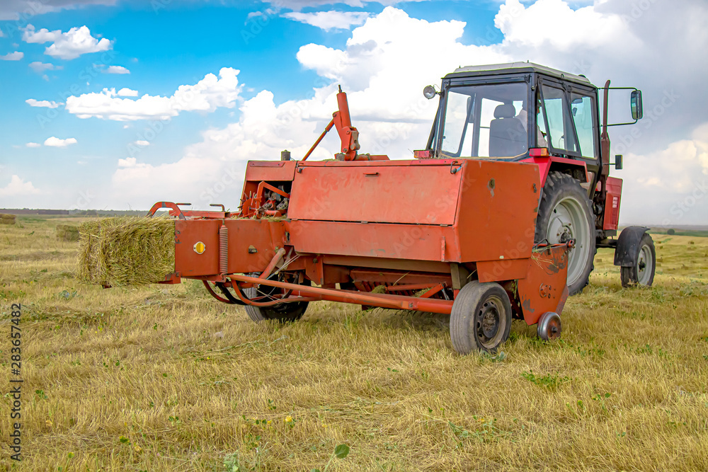Fototapeta premium Grass collection by pick-up for livestock feed. Rural landscape