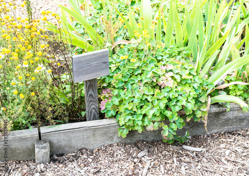 Garten1308a
