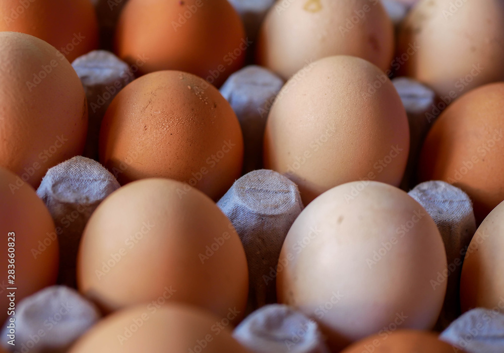 Home produced wet chicken eggs in carboard box close up shot. Home produced wet chicken eggs in carboard box close up shot.