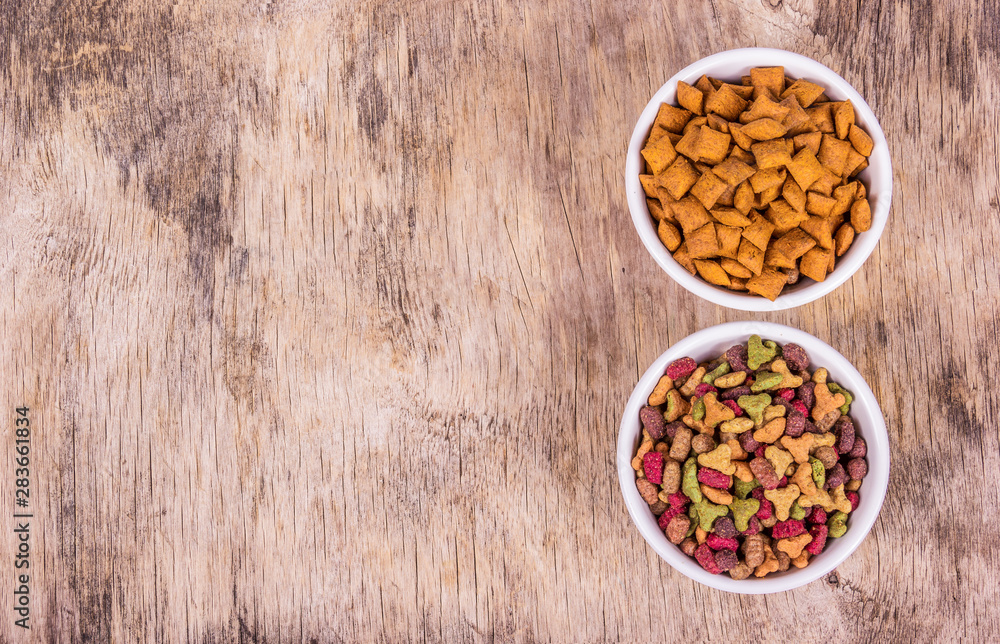 Delicious cat food. Various cat food. Cat food in white bowls. Dry pet food copy space