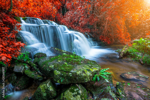 Fototapeta Naklejka Na Ścianę i Meble -  Amazing in nature, beautiful waterfall at colorful autumn forest in fall season