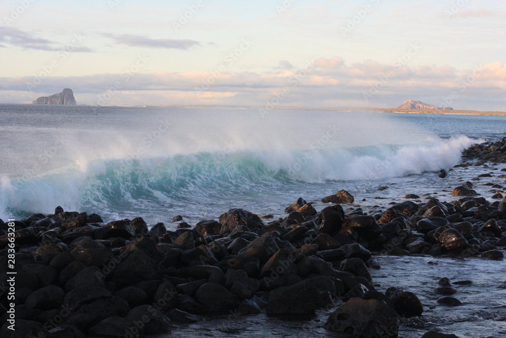 Obraz premium Galapagos islands and its wildlife and nature, in Ecuador