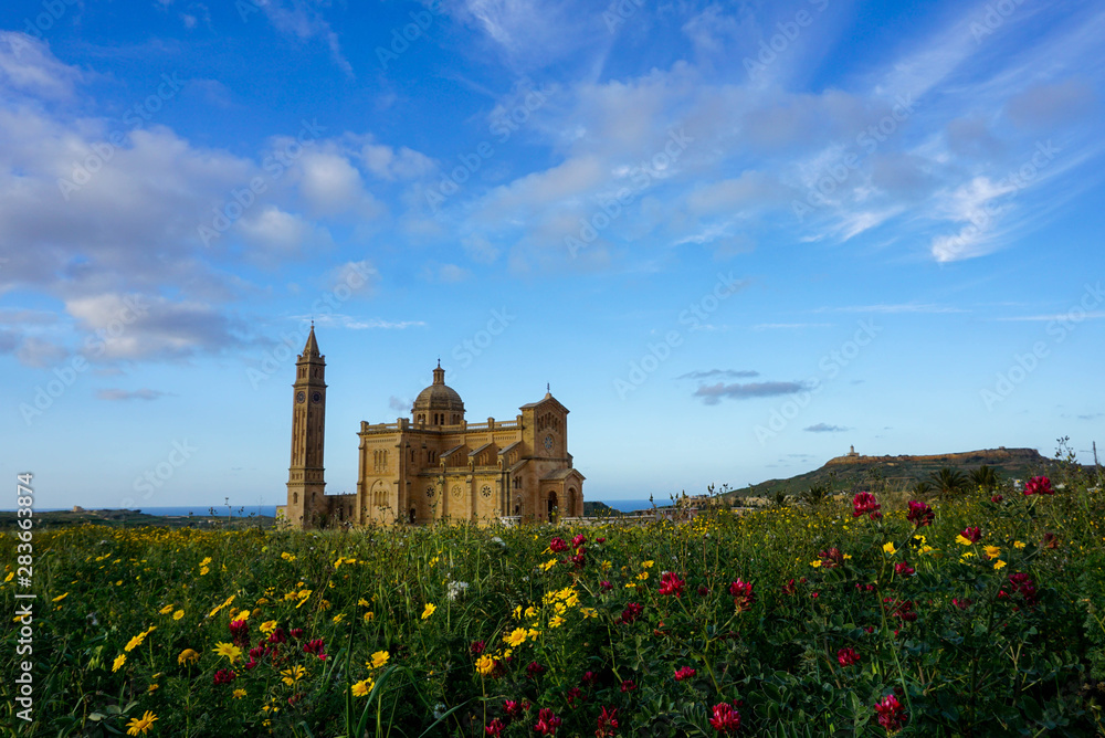 Church in Gozo with flower meadow 