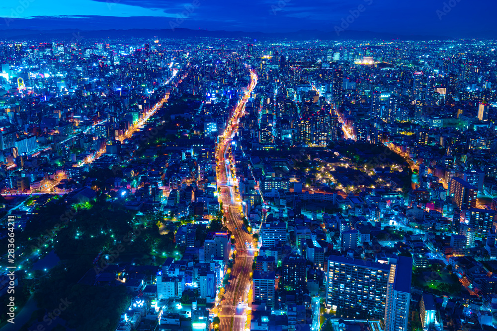 Obraz premium 大阪・都市景観・夜景