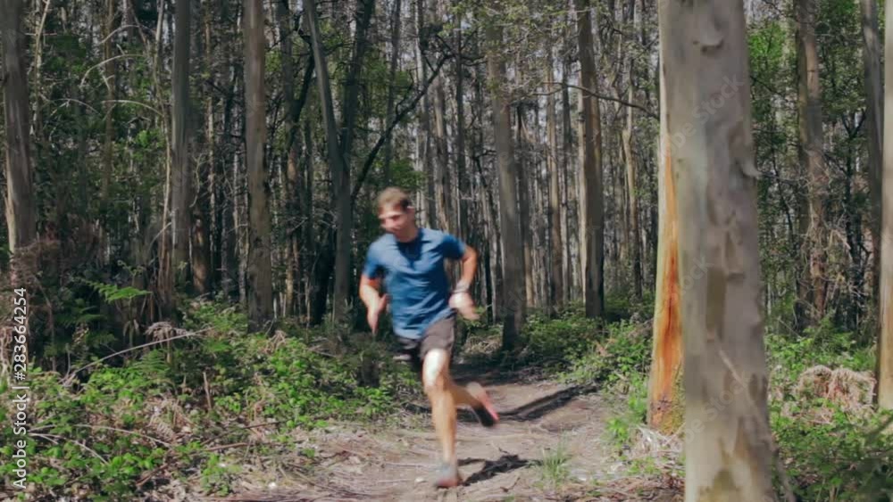 Young man participating in a trail race through the forest Young man participating in a trail race through the forest