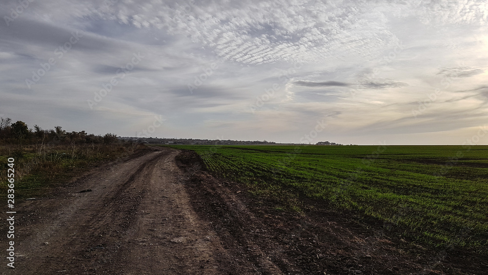A beautiful landscape of a wheat field in the countryside A beautiful landscape of a wheat field in the countryside