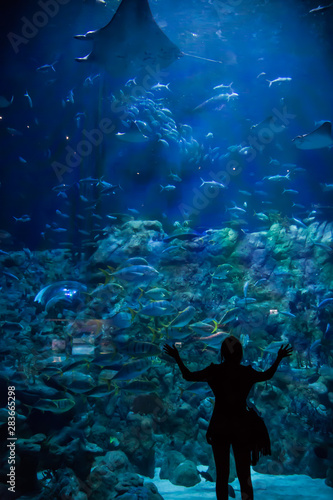 The Grand Aquarium in Ocean Park, Hong Kong