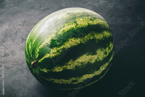One whole watermelon on dark background, close up view © O.Farion