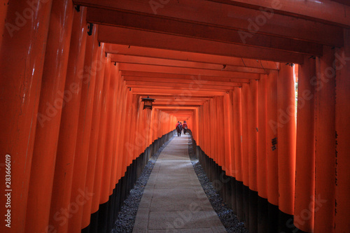 Fushimi Inari taisha thousand shrines in Kyoto Japan