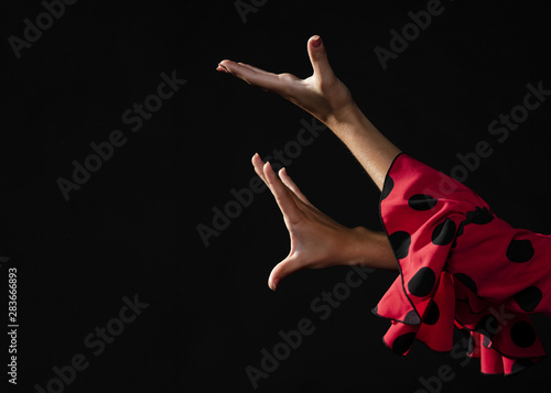 Obraz na płótnie Close-up flamenca moving hands on black background