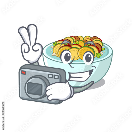Photographer ratatouille isolated with in the cartoon