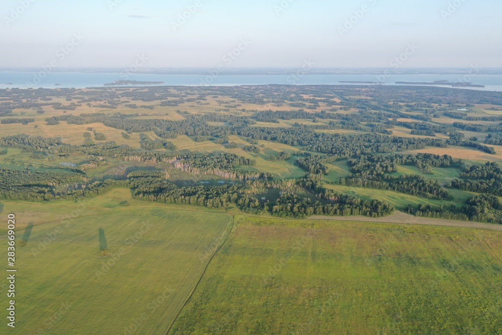 Panorama of a grass field in the Novosibirsk region, in summer