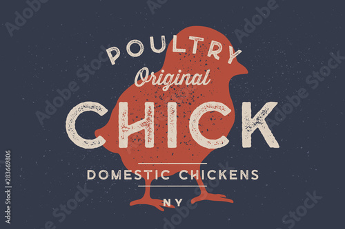 Chick, poultry. Vintage logo, retro print, poster for Butchery
