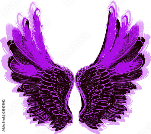 sketch of violet large isolated wings